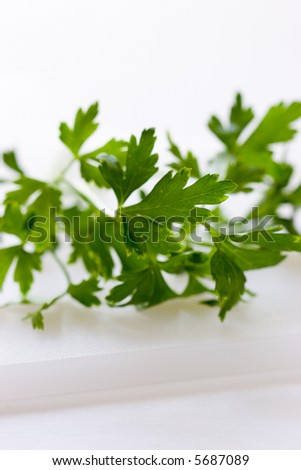 A bunch of parsley ready to be added to any dish