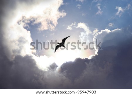 Bird flying in the sky with a dramatic cloud formation in the background. Light shining trough which gives a symbolic value of life and hope.