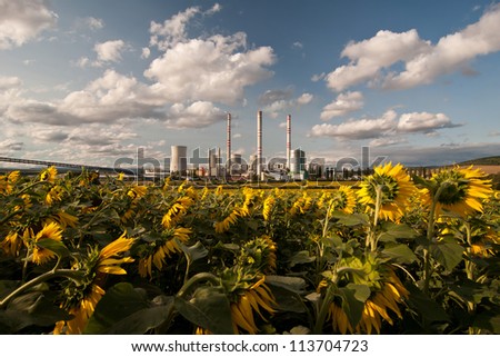the power station with sunflower field