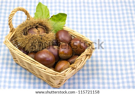 This is a photograph of a chestnut that was served in a basket that I have taken in October.