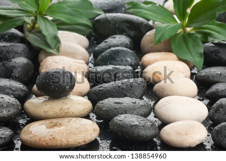 Zen stones and leaves with water drops can be used as background