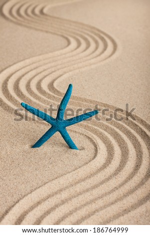 Starfish in the sand on a background of wavy lines