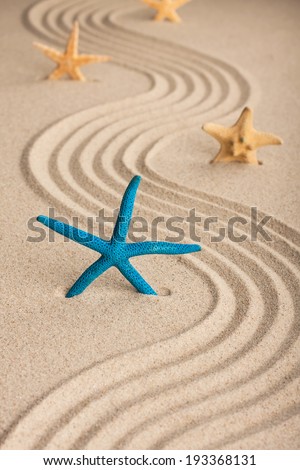 Starfish in the sand on a background of wavy lines