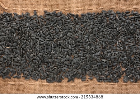 Seed sunflower  lying on sackcloth between the lines, can be used as background