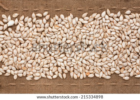 Pumpkin seed  lying on sackcloth between the lines, can be used as background