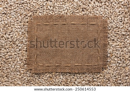 Frame made of burlap with the line lies on  sunflower seeds, with place for your text