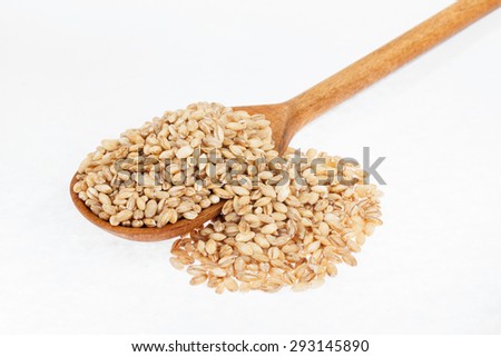 Wooden spoon with pearl barley , on white background