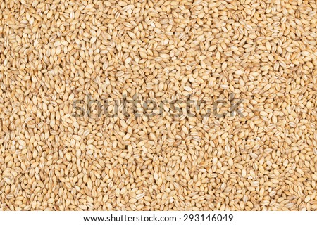 Pearl barley, as background, texture