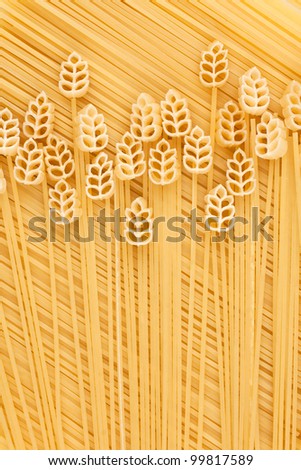 A field of wheat, pasta, conceptual image, the background
