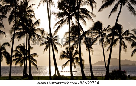Outrigger canoe paddling behind palm trees in Hawaii