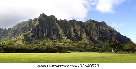 A beautiful green landscape of a mountain on Oahu in hawaii