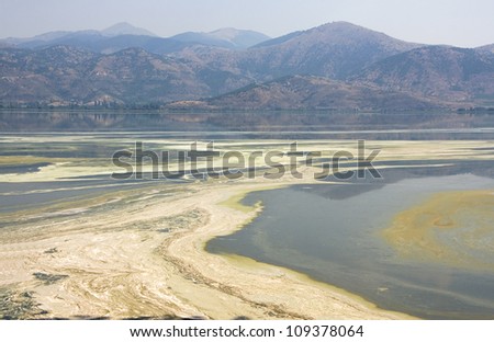 water pollution in water. (Lake, Ocean, Sea, River)