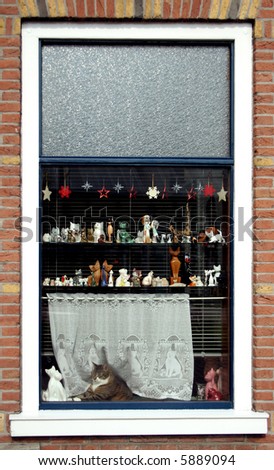 Cat And Vintage Figurine Collection On Display In A Window