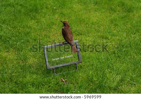 A bird perched atop a sign that reads \