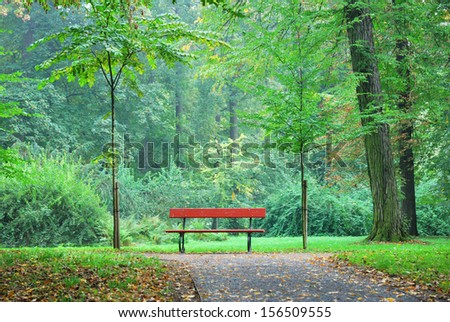 Single wooden bench in a forest park