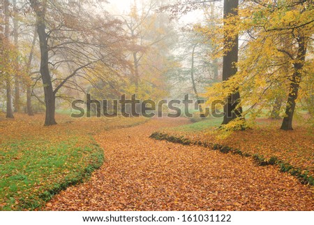 Forest park and dry rivulet bed with fallen leaves in misty autumn