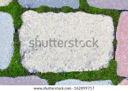 Stone tile framed by green moss texture background