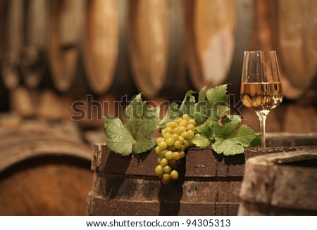 Wine Grapes in a Wine Cellar