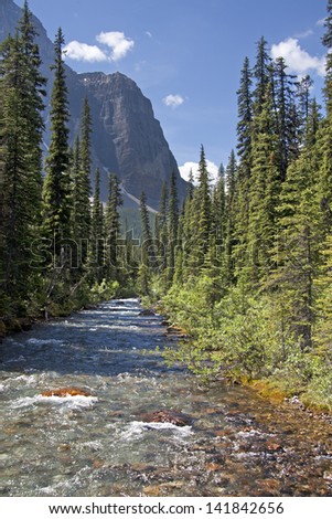 Stream Flowing out of Paradise Valley, Lake Louise, Banff National Park, Alberta, Canada