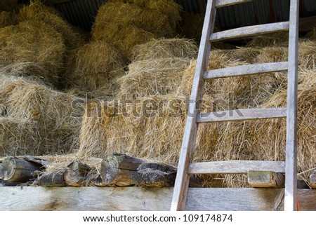 old (hay)barn