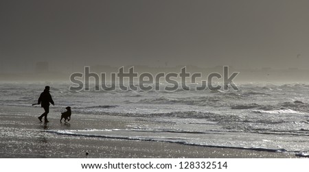 silhouette of a man playing with his dog on the beach