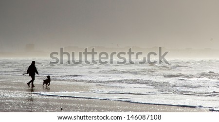 Silhouette of a man playing with his dog on the beach