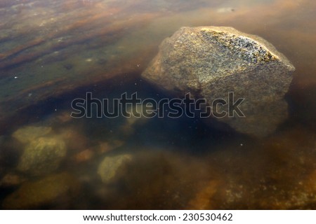 Igneous rocks in saltwater pond