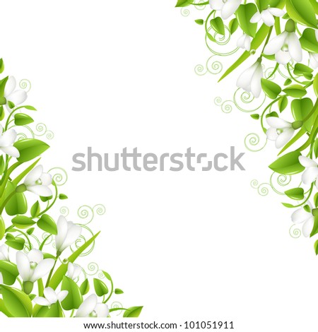 Border Snowdrops With Leaf Isolated On White Background Vector