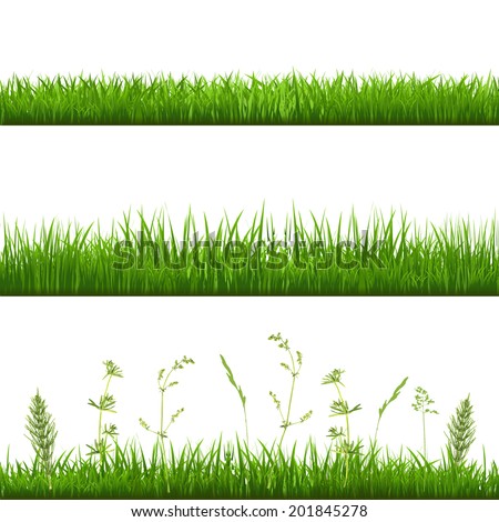 Grass Borders With Gradient Mesh Vector Illustration Grass Borders With Gradient Mesh Vector Illustration