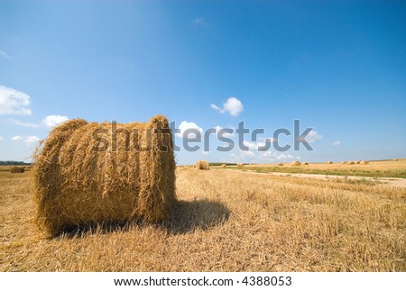 Round haystack in a field on background of the beautiful nature