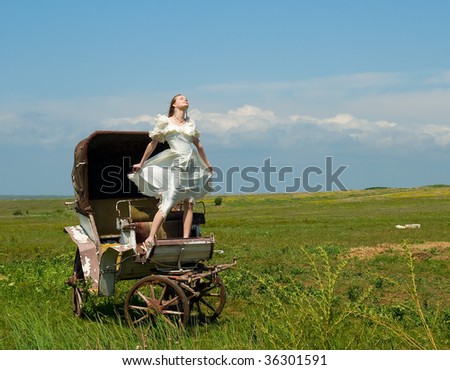 The beautiful bride in carriage on a background of field