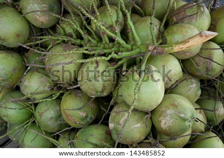 Fruit; Group of Green Coconut