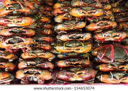 Fresh Crab in market for sale