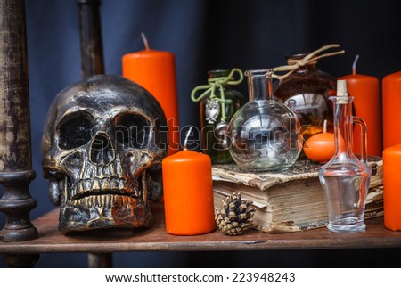 A set of objects to celebrate halloween
