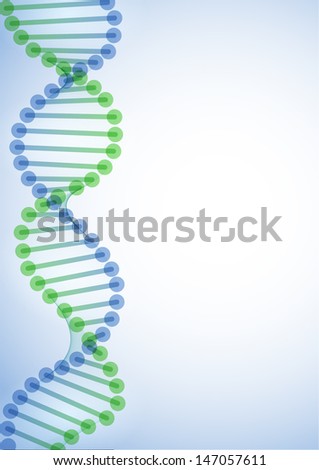 DNA molecule DNA molecule