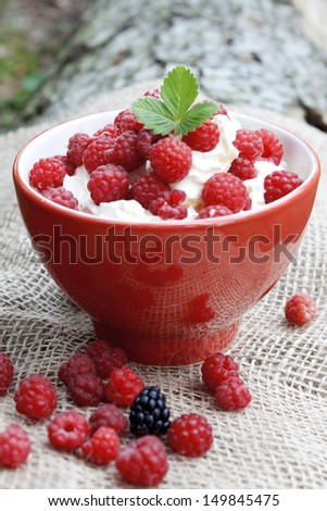red bowl of sweet cream with raspberry fruits and decorated with a leaf