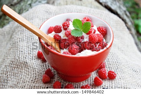 red bowl of sweet cream with raspberry fruits and decorated with a leaf