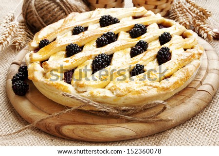 homemade blackberry cake with fresh blackberries,sweet dessert