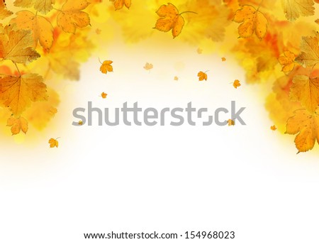 autumn frame with golden dried tree leaves falling
