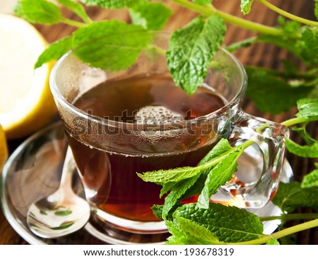 Fresh Mint Tea with Mint Leaves in Transparent Cup
