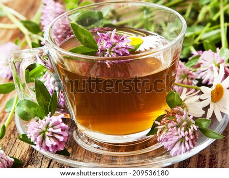 Herbal Tea with Trifolium pratense and Chamomilla chamomilla,Red Clover and Chamomile Flowers in Transparent Cup