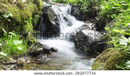 Wild Creek Waterfall in the Forest with Mountain Fresh Green Vegetation