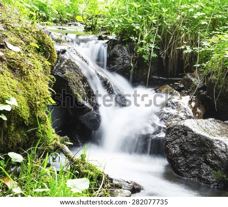 Wild Creek Waterfall in the Forest with Mountain Fresh Green Vegetation