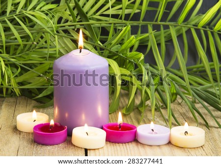 Scented Aromatherapy Candles Burning on a Green Plant Wellness Background