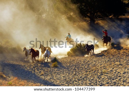 Wranglers chasing wild horses in early morning light with dust flying everywhere
