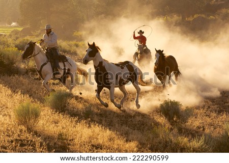 Two western cowboys riding horses, roping wild horses