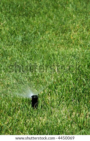 Short Sprinkler head watering grass
