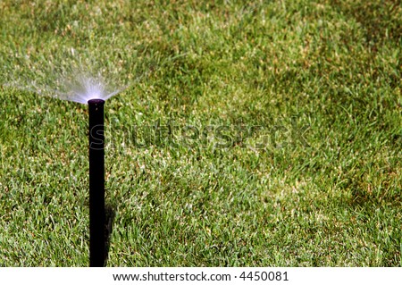 Tall sprinkler head watering grass