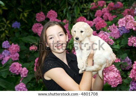 stock photo Cute brunette teen holding her new golden labradoodle puppy