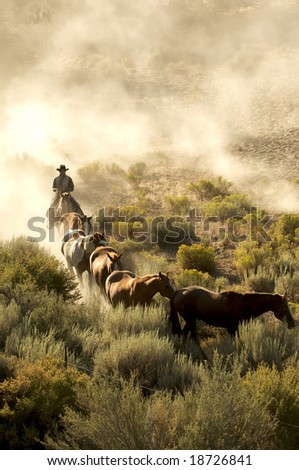 Single cowboy guiding a line of horses through the desert